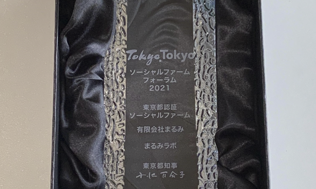 有限会社まるみラボ